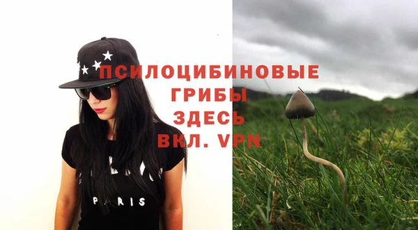 кокс Алексеевка