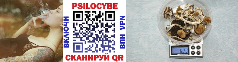 Псилоцибиновые грибы Cubensis  Майкоп 