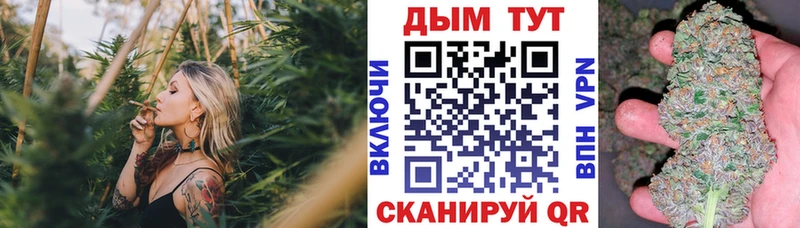 МАРИХУАНА MAZAR  где купить наркоту  Майкоп 